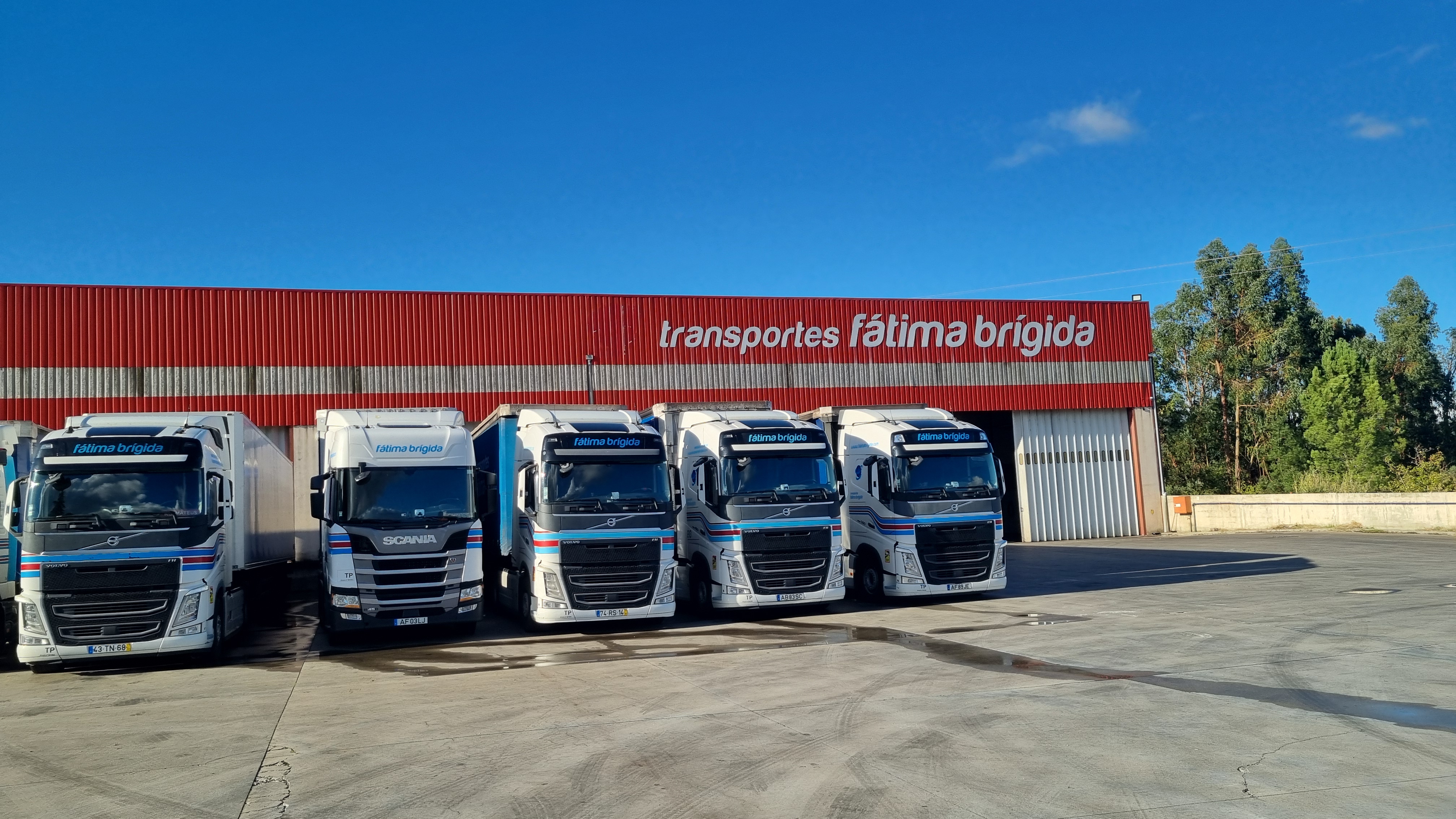 Frota TFB alinhada em frente à nave principal